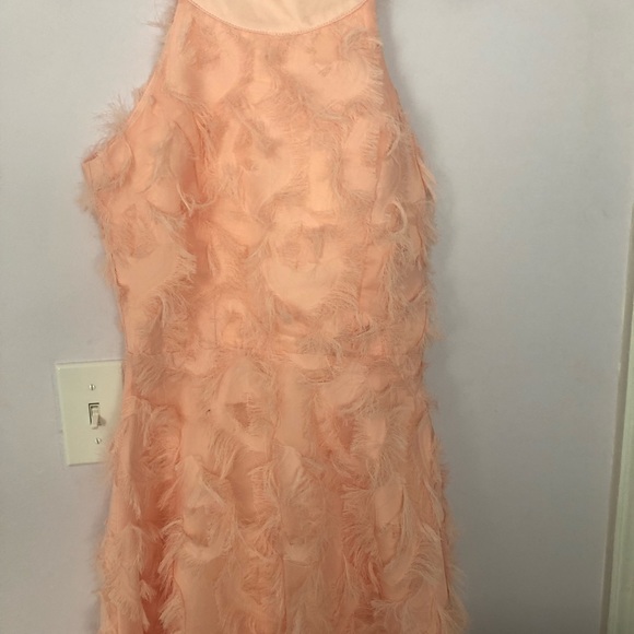 Pink Dress - Picture 6 of 7